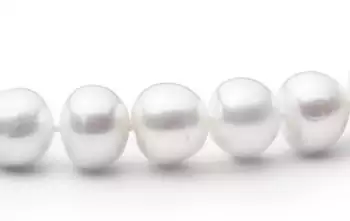 Perlenklassiker Darstellung Halbrunde natürliche Perlen
